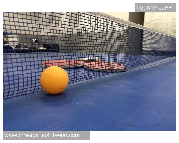 武汉乒乓球队的速度之谜揭秘乒乓球巨献带你领略竞技魅力