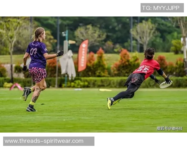 飞盘热点:解读南京飞盘队的防守